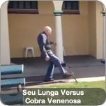 Seu Lunga Versus Cobra Venenosa