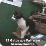 22 Gatos que Falharam Miseravelmente